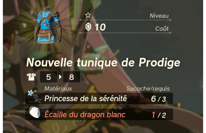 Tenue De Prodige Zelda Tears Of The Kingdom Comment Obtenir La