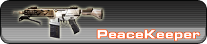 Peacekeeper Call of Duty Black Ops 2
