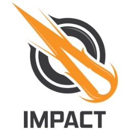 IcoNs Impact