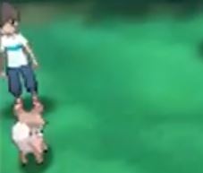 Le fameux Pokémon mystérieux aperçu dans la vidéo du CoroCoro