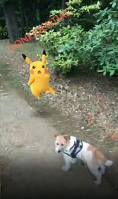 Pikachu et un chien dans pokémon GO