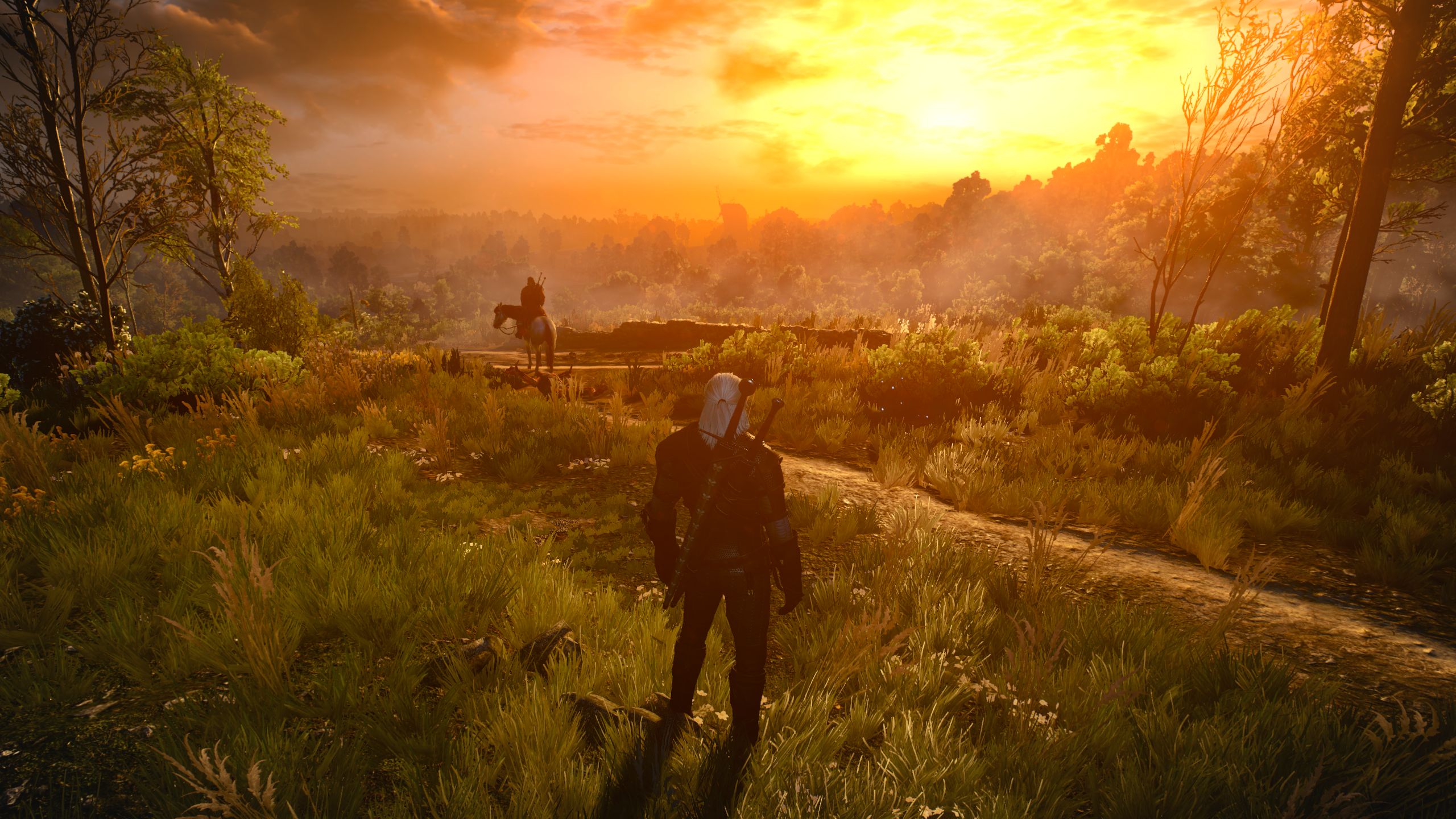 The witcher 3 linux torrent фото 108