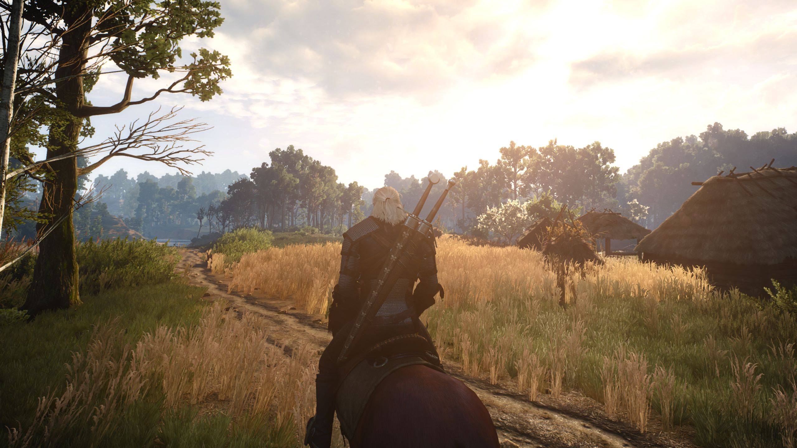 60 fps gui the witcher 3 фото 105