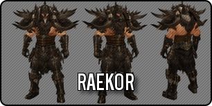 Build Barbare Raekor 2.4.2