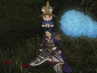 FF XIV : Dossier 2.4