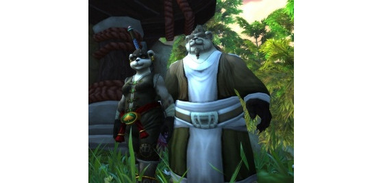A gauche, une Pandarene de Pandarie, à droite, un Pandaren de l'Île Vagabonde... Absolument rien à voir, hein ? Bah oui, je ne vois même pas pourquoi je me pose la question, y'a pas photo ! - World of Warcraft