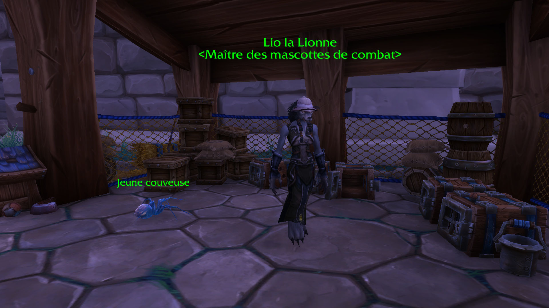 WoW Super Squirt Day, le rendezvous du leveling de mascottes Millenium