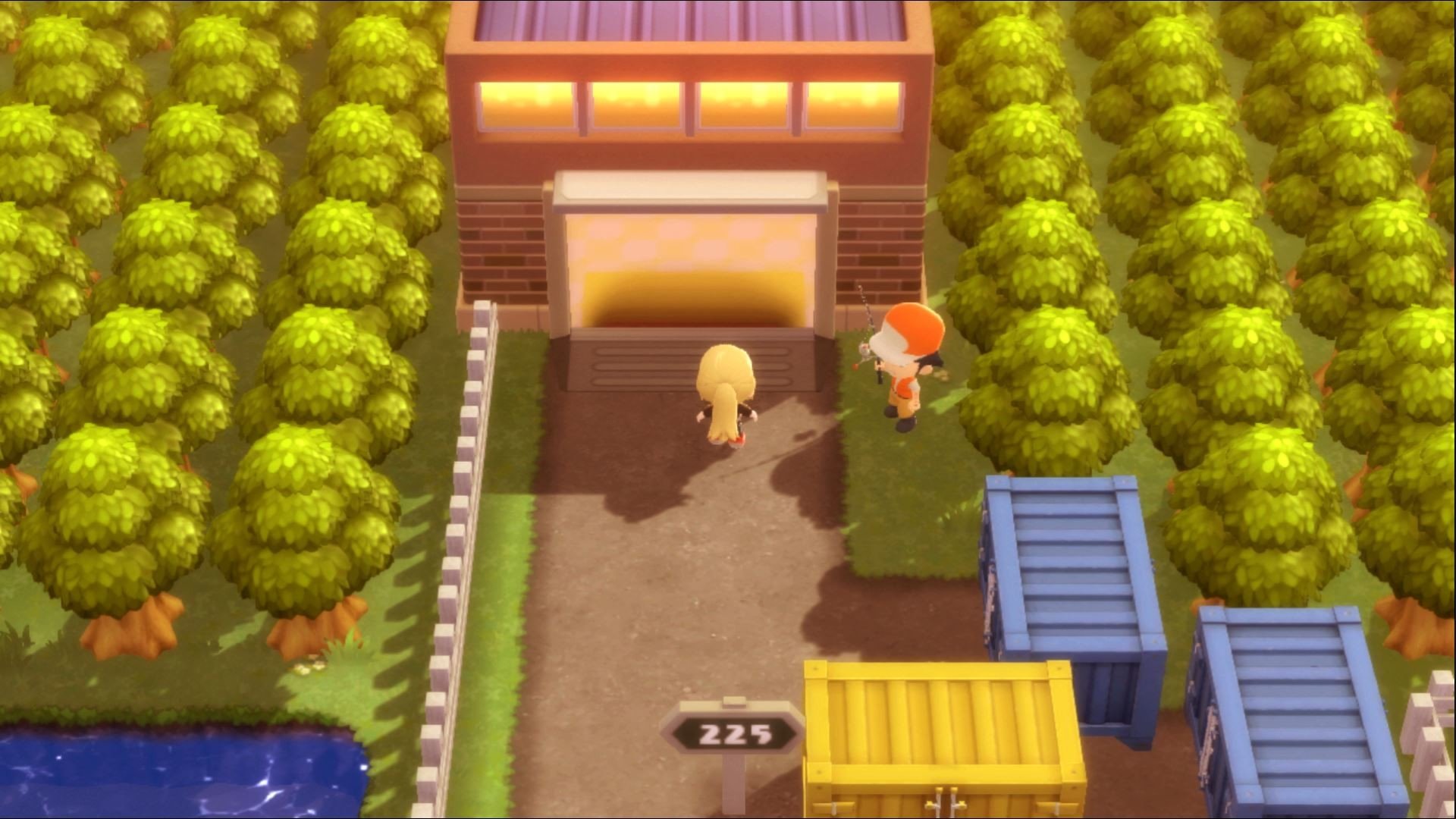 Méga Canne Pokémon Diamant et Perle Comment obtenir les différentes cannes à pêche du jeu