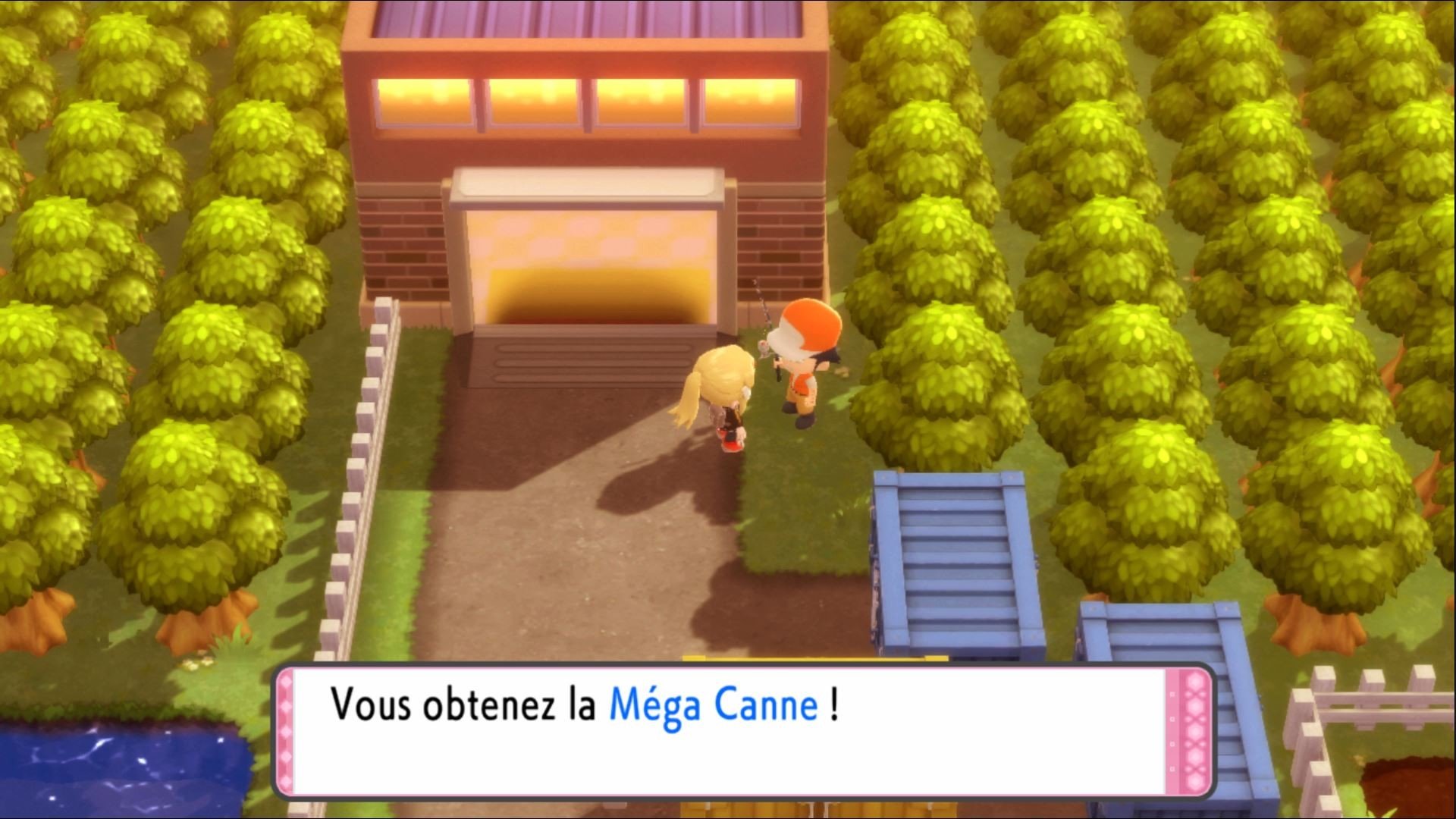 Méga Canne Pokémon Diamant et Perle Comment obtenir les différentes cannes à pêche du jeu