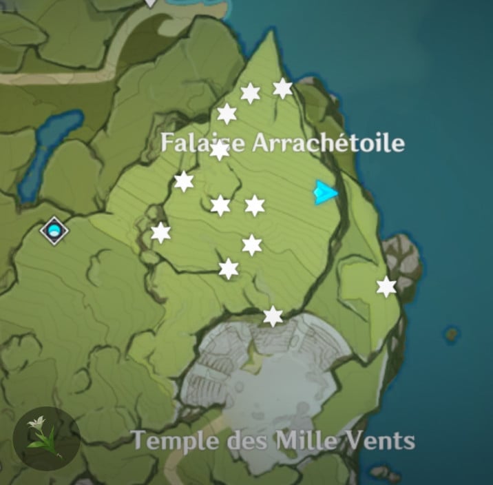 Où trouver des Cécilias dans Genshin Impact ? Millenium