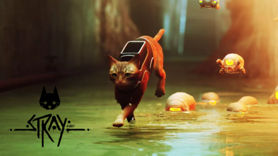 Stray : Record explosé pour le chat le plus en vogue du moment