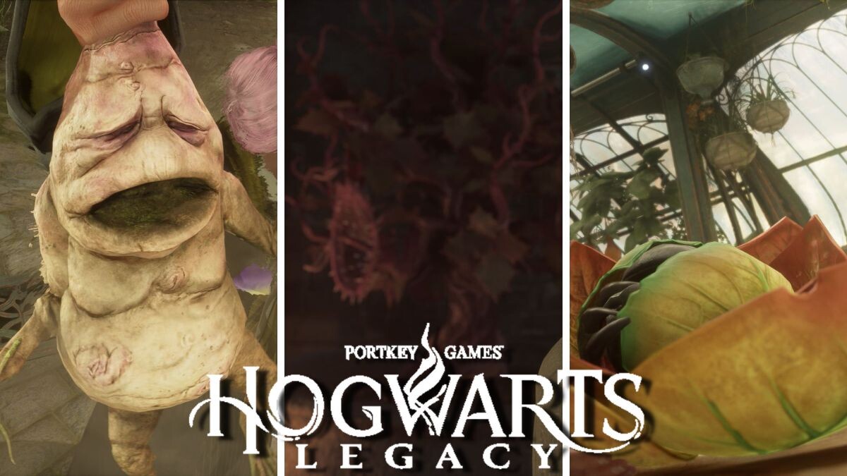 Plantes de combat Hogwarts Legacy : Compléter le devoir 2 de Bulbille -  Millenium