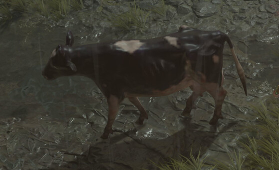Une vache de Diablo 4 - Diablo IV