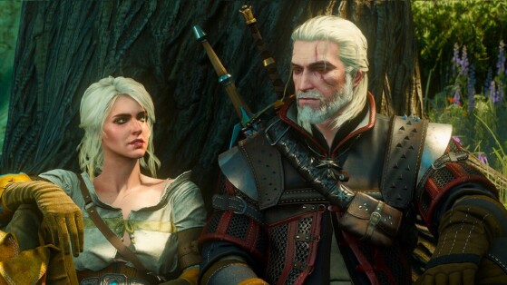 The Witcher 3 : Wild Hunt - The Witcher 4