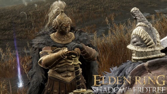 Freyja Elden Ring Shadow of the Erdtree : Comment l'aider à répondre à ses questions ?