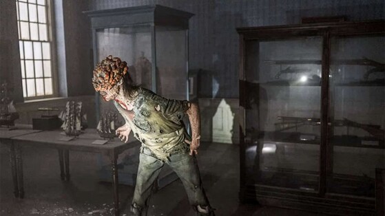 Les horribles champignons de The Last of Us existent, et ils ont même été retrouvés en Europe