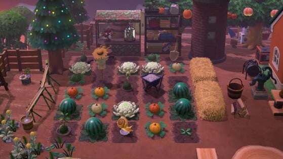 Jardin Potager Animal Crossing New Horizons : quand faire pousser fruits et légumes rime avec embellir votre terrain