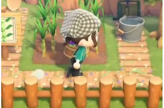 Animal Crossing New Horizons