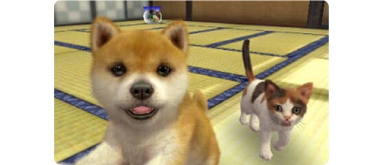 Nintendogs and Cats - Millenium