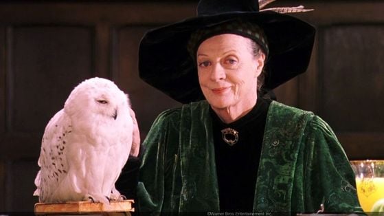 La série Harry Potter de HBO doit absolument inclure cette scène iconique des livres que les films ont totalement ignorée