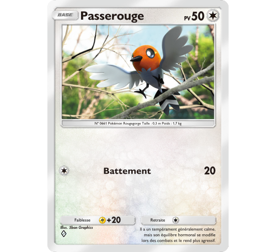 JCC Pokémon Pocket