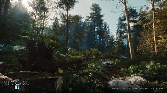 'On ne veut pas d'un autre désastre', les nouvelles images de The Witcher 4 ont été tournées sur PS5 et ce n'est pas un hasard
