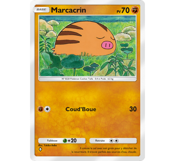 JCC Pokémon Pocket