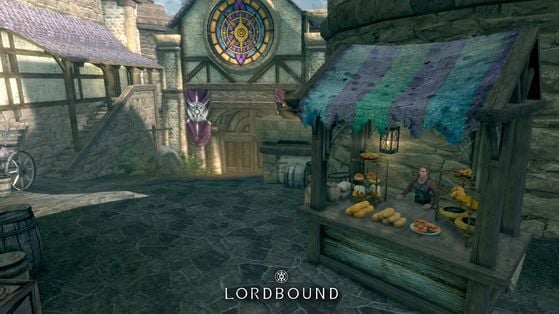 The Elder Scrolls V : Skyrim