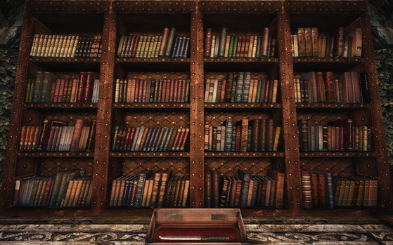 The Elder Scrolls V : Skyrim