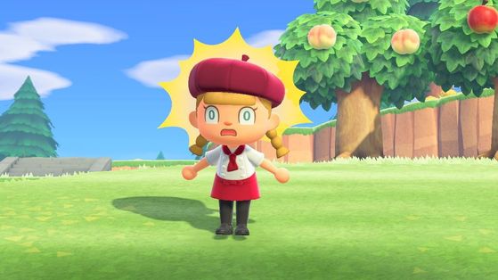 Et si Animal Crossing New Horizons vient de dévoiler par erreur une nouvelle fonctionnalité de la 3.0 ?