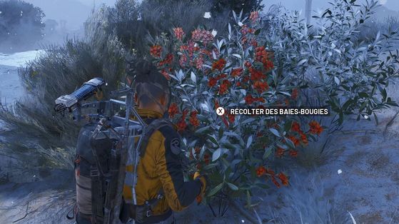 Baie-Bougie Arc Raiders : Où trouver facilement cette ressource importante de la màj Flammes Vacillantes