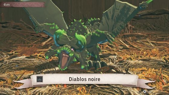 Monster Hunter Stories 3 : Twisted Reflection