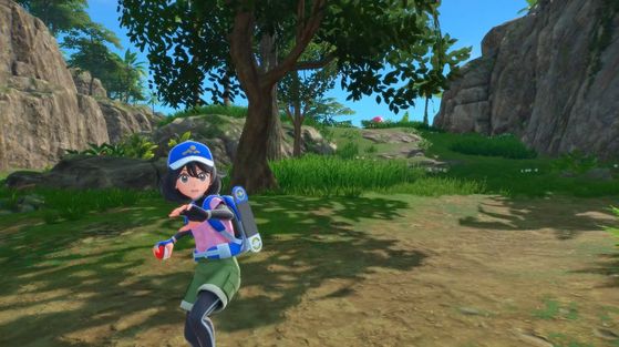 Les fans de Pokémon Vents et Vagues sont déjà en panique après les récentes annonces de Nintendo