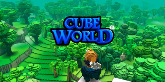 plan de maison cube world