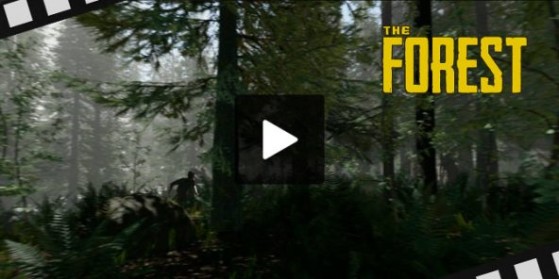 The Forest : La survie avant tout Ép.6