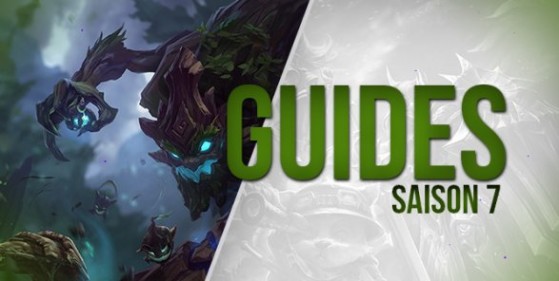 Guide Maokai, Support, S7