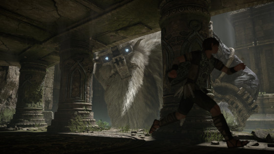 Coucou toi... - Shadow of the Colossus