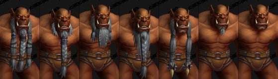 Pilosités - World of Warcraft