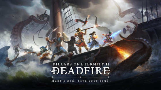 Pillars of Eternity 2 Deadfire : DLC, Extension, Season Pass