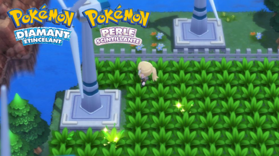 Poké Radar Pokémon Diamant et Perle : le guide pour obtenir des shiny