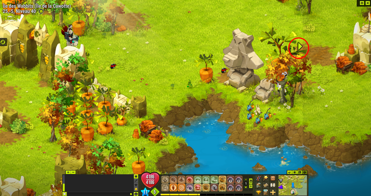 Dofus Île des Wabbits, Chemin vers le Wabbit GM Millenium