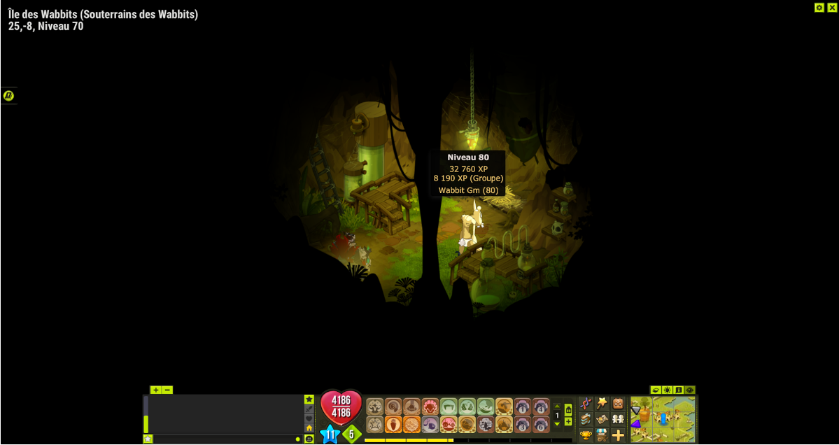 Dofus Île des Wabbits, Chemin vers le Wabbit GM Millenium
