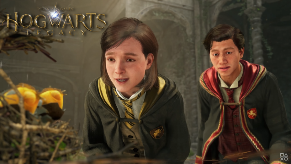 Multijoueur Hogwarts Legacy : De la coop pour le RPG Harry Potter ou non ? - Millenium
