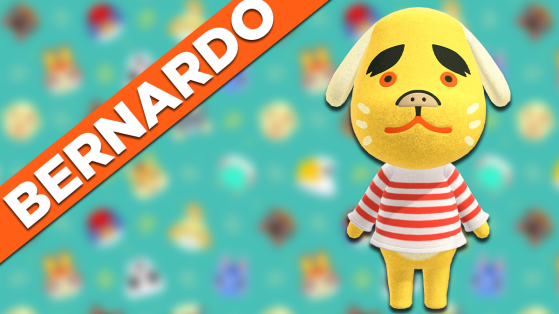 Bernardo Animal Crossing New Horizons : tout savoir sur cet habitant