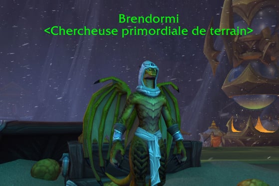 Brendormi, l'intendante de la Fureur de l'orage - World of Warcraft