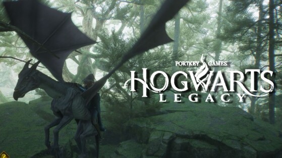 Hogwarts Legacy : Sombral, Hippogriffe d'Onyx... Comment récupérer les bonus digitaux ?