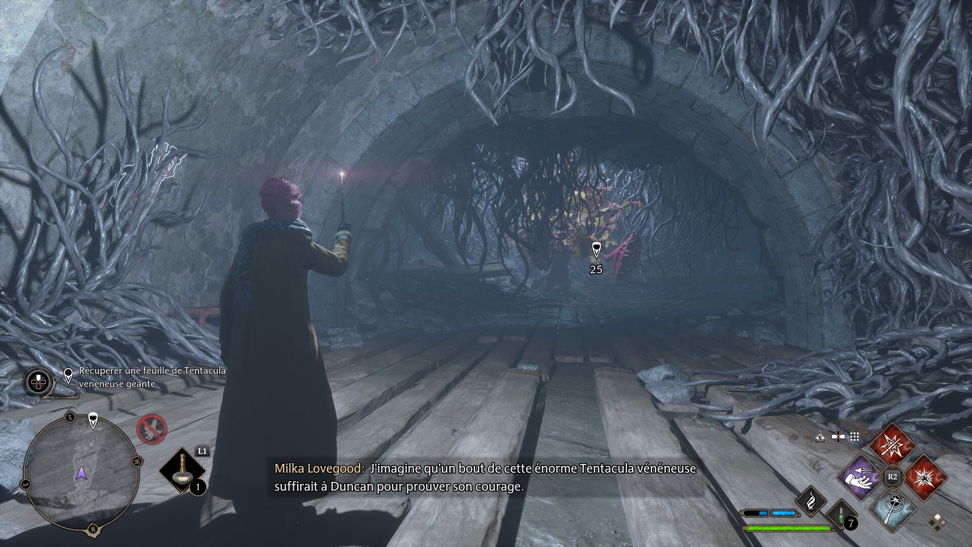 Obtenir une Tentacula Veneneuse Hogwarts Legacy Où en trouver pour le devoir de Bulbille