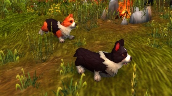 Les joueurs de WoW de la team chien vont être ravis en découvrant cette nouvelle fonctionnalité de The War Within