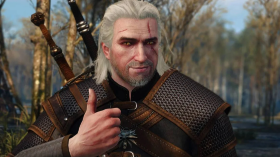 The Witcher 3 : Wild Hunt