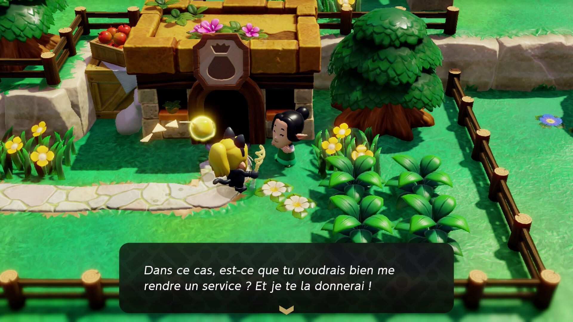 Toutes les quêtes secondaires Zelda Echoes of Wisdom Liste complète des missions annexes et
